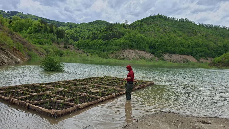 Specialist inspectând o insulă plutitoare instalată pe un lac montan