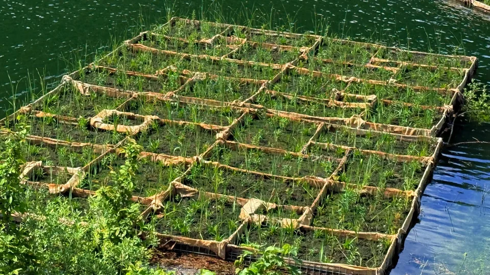Structură modulară din iută a unei insule plutitoare, habitat pentru organisme acvatice