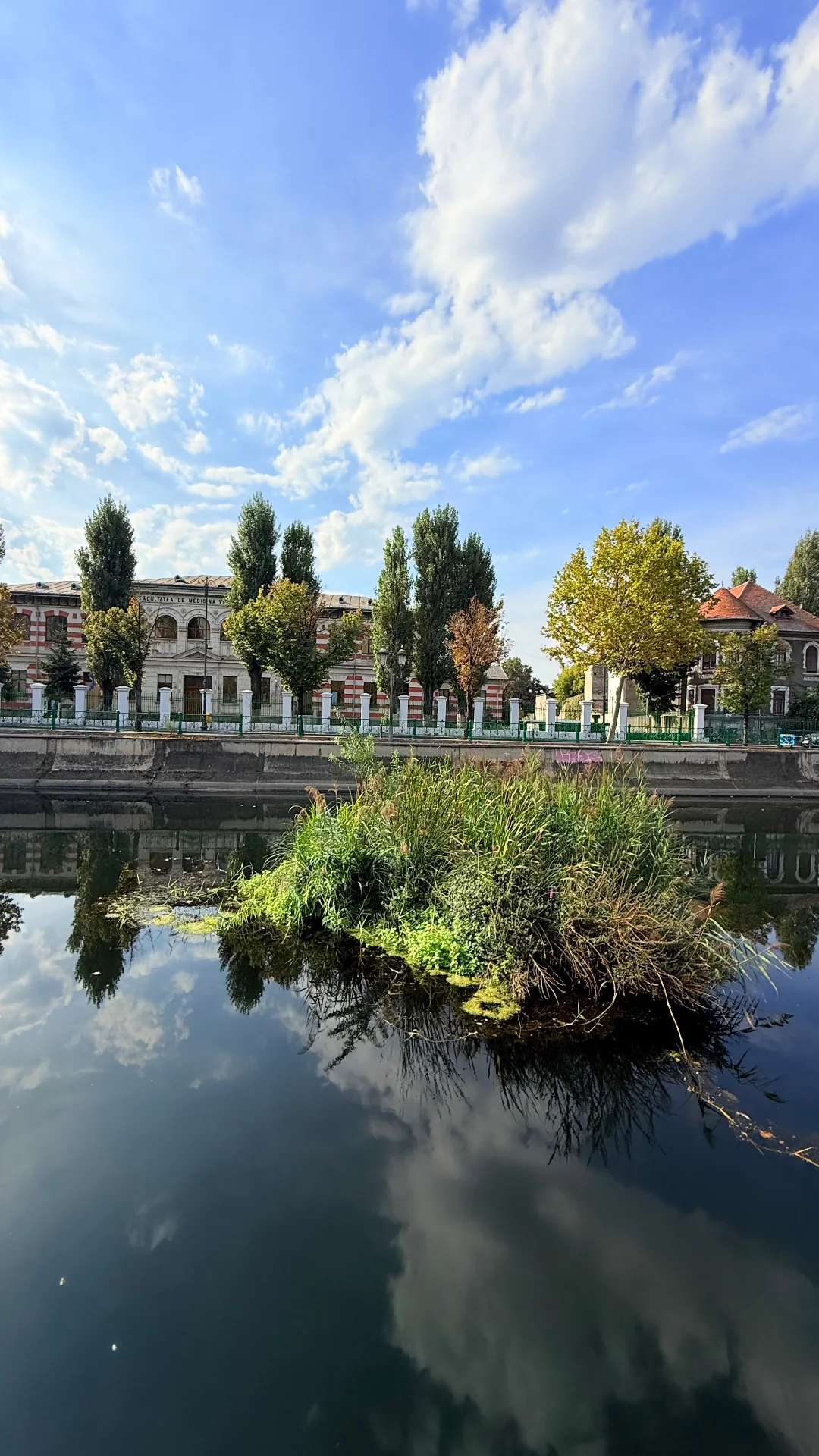 Insulă plutitoare cu vegetație matură și reflexie în apă, într-un peisaj urban
